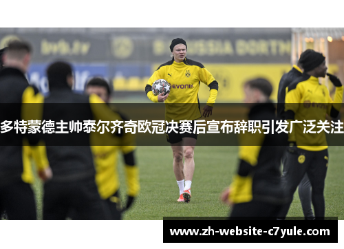 多特蒙德主帅泰尔齐奇欧冠决赛后宣布辞职引发广泛关注