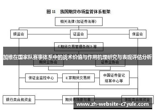 加维在国家队赛事体系中的战术价值与作用机理研究与表现评估分析