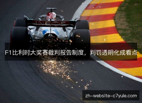 F1比利时大奖赛裁判报告制度,判罚透明化成看点 F1比利时大奖赛裁判报告制度,判罚透明化成看点